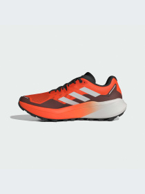 Кроссовки для бега Adidas Terrex модель IG8841 Фото