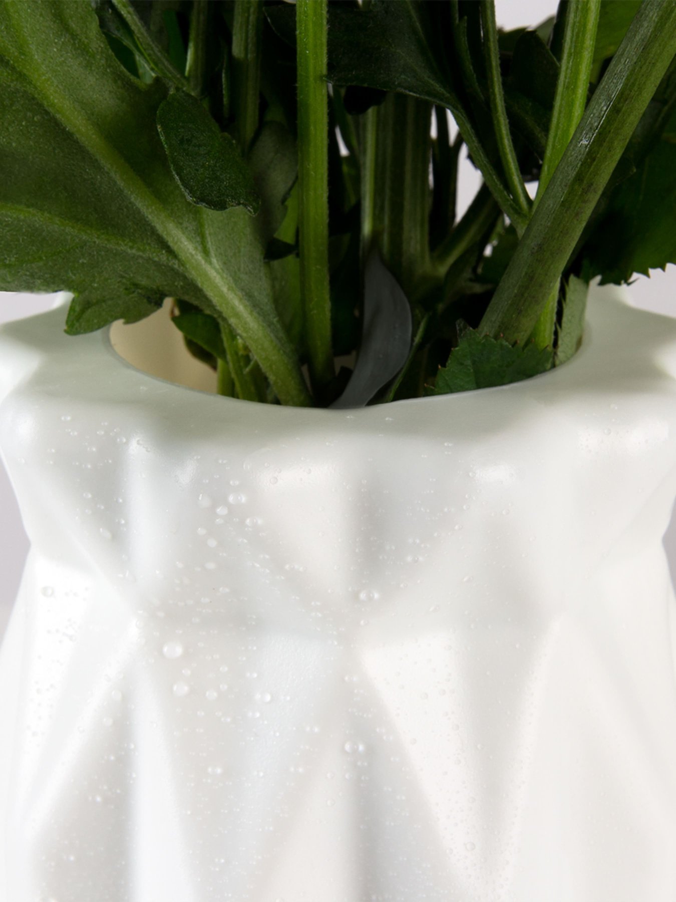 Ваза для квітів пластикова біла MBM MY HOME Модель DH-FLOWERS-01 WHITE Фото