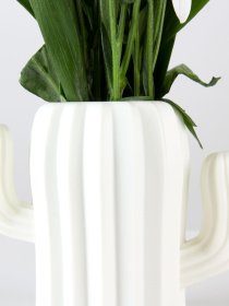 Ваза для цветов пластиковая белая MBM MY HOME модель DH-FLOWERS-02 WHITE Фото