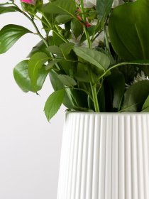 Ваза для квітів пластикова біла MBM MY HOME Модель DH-FLOWERS-03 WHITE Фото