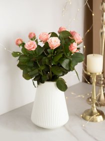 Ваза для квітів пластикова біла MBM HOME модель DH-FLOWERS-04 WHITE Фото