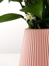 Ваза для квітів пластикова рожева MBM MY HOME Модель DH-FLOWERS-04 PINK Фото