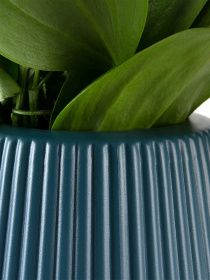 Ваза для квітів пластикова синя MBM HOME модель DH-FLOWERS-04 DARK BLUE Фото