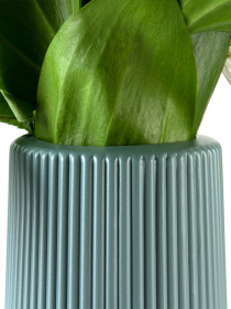 Ваза для цветов пластиковая голубая MBM MY HOME модель DH-FLOWERS-05 BLUE Фото