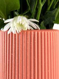 Ваза для цветов пластиковая коралловая MBM MY HOME модель DH-FLOWERS-05 CORAL Фото