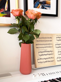 Ваза для цветов пластиковая коралловая MBM MY HOME модель DH-FLOWERS-05 CORAL Фото