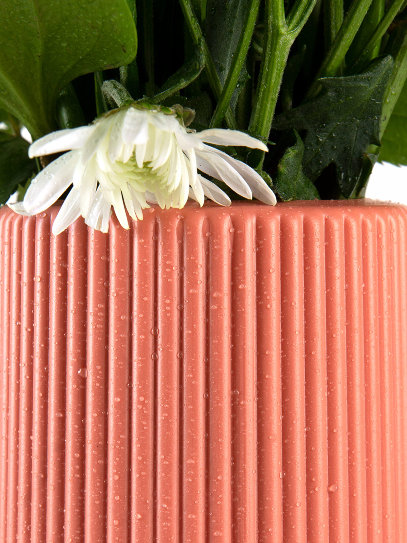 Ваза для квітів пластикова коралова MBM HOME модель DH-FLOWERS-05 CORAL Фото