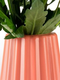 Ваза для квітів пластикова коралова MBM HOME модель DH-FLOWERS-06 CORAL Фото