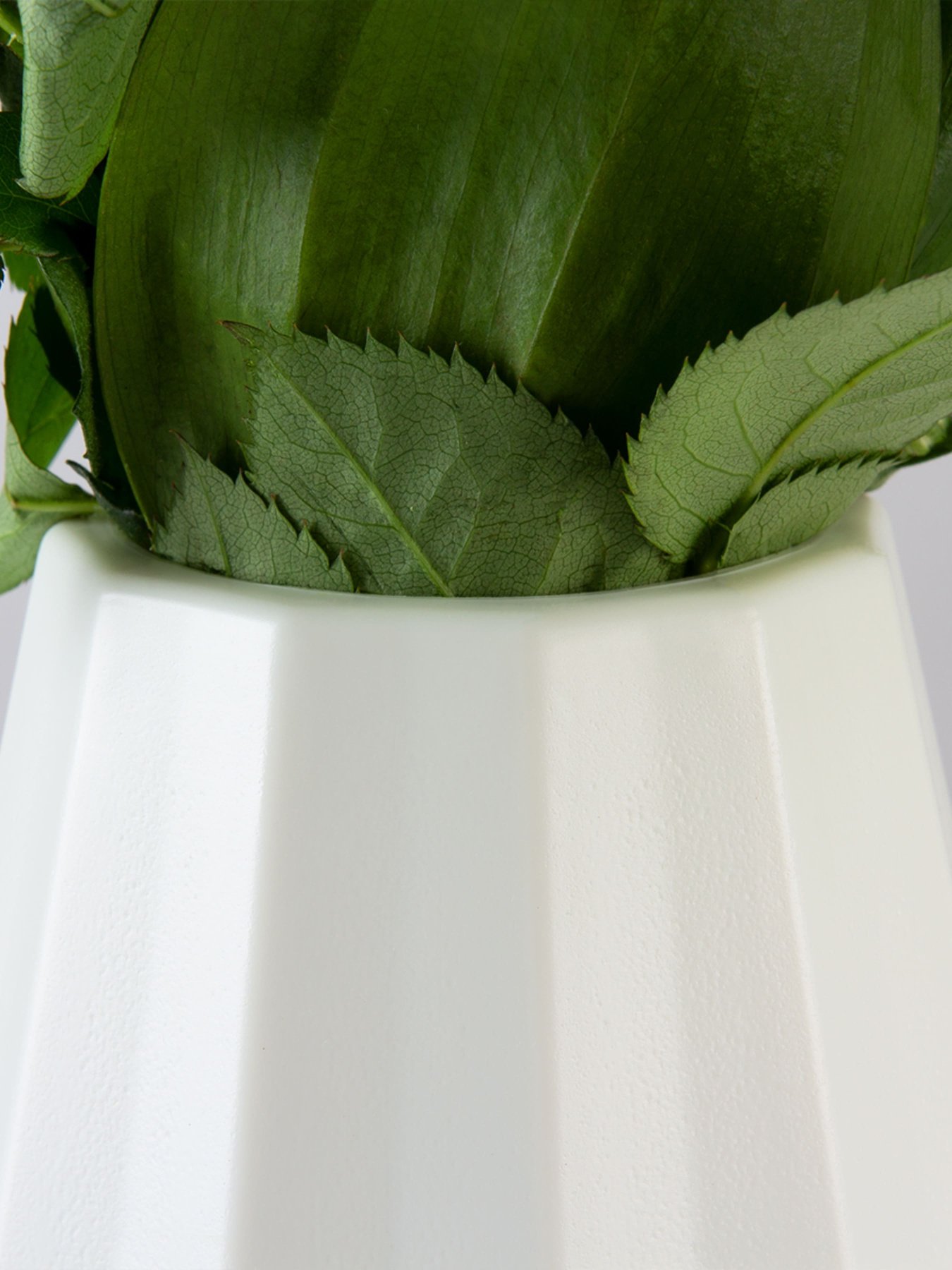 Ваза для квітів пластикова біла MBM HOME модель DH-FLOWERS-07 WHITE Фото