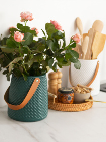 Ваза для квітів з ручкою пластикова аквамаринова MBM HOME модель DH-FLOWERS-10 MARINE BLUE Фото