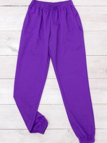 Джоггеры Носи своє модель 8391-057-temno-buzkovij Фото