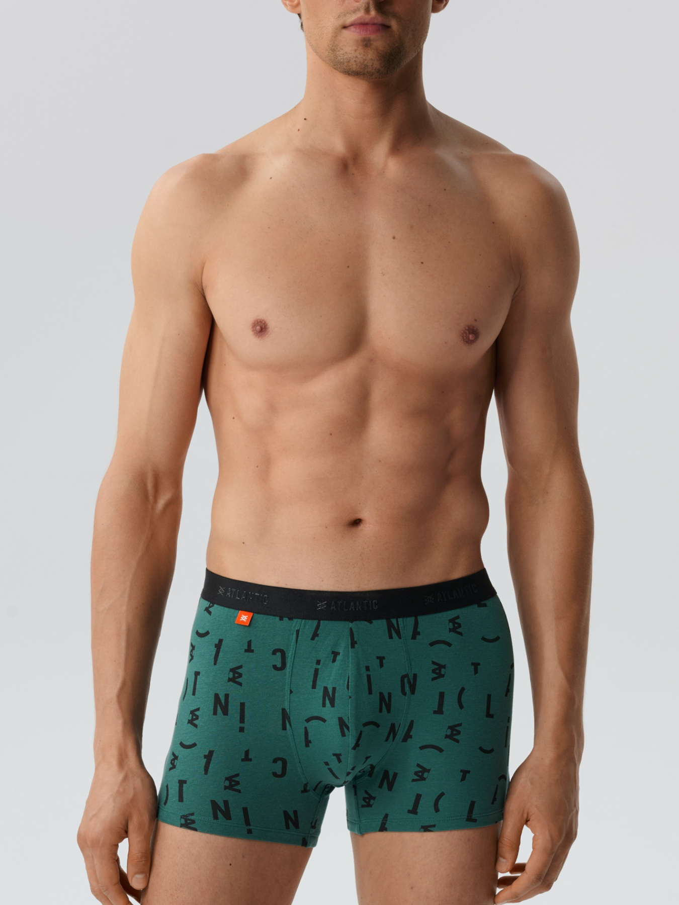 Набор трусов Atlantic модель 3MH-182_ZIEC_CZA_GRF Фото