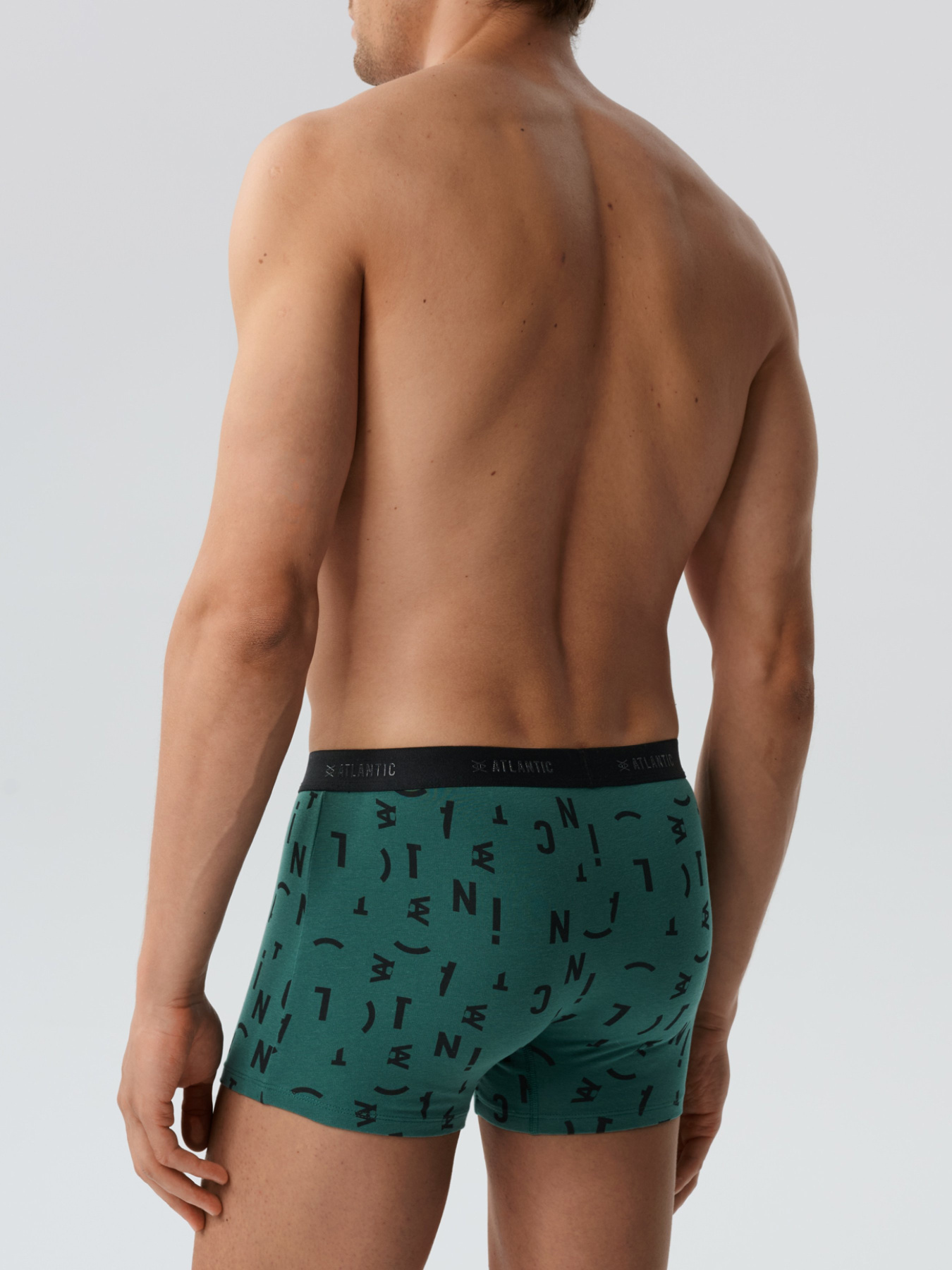 Набор трусов Atlantic модель 3MH-182_ZIEC_CZA_GRF Фото