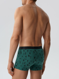 Набор трусов Atlantic модель 3MH-182_ZIEC_CZA_GRF Фото