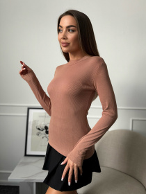 Водолазка ISSA Plus модель WN20-654_коричневый Фото