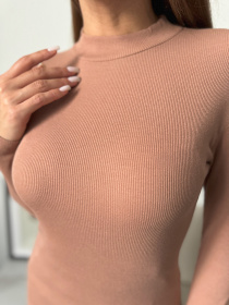 Водолазка ISSA Plus модель WN20-654_коричневый Фото