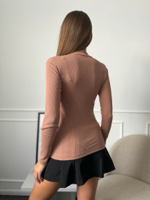 Водолазка ISSA Plus модель WN20-654_коричневый Фото