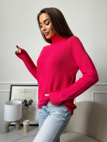 Водолазка ISSA Plus модель WN20-658_малиновый Фото