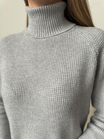 Водолазка ISSA Plus модель WN20-658_серый Водолазка ISSA Plus модель WN20-658_серый Фото