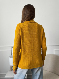 Водолазка ISSA Plus модель WN20-658_горчичный Фото