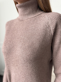 Водолазка ISSA Plus модель WN20-658_коричневый Водолазка ISSA Plus модель WN20-658_коричневый Фото