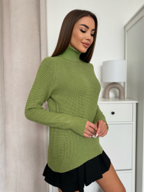 Водолазка ISSA Plus модель WN20-658_зеленый Фото