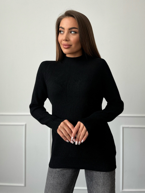 Водолазка ISSA Plus модель WN20-663_черный Фото