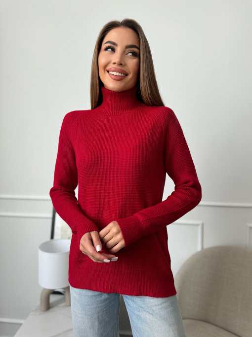 Водолазка ISSA Plus модель WN20-658_красный Фото