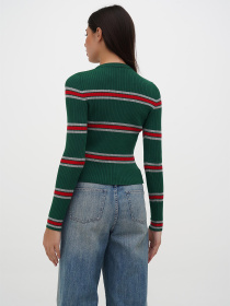 Джемпер Sassofono модель A271-SF-3403 Фото