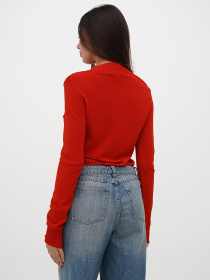 Боди Sassofono модель A271-SF-3592_терракотовый Фото