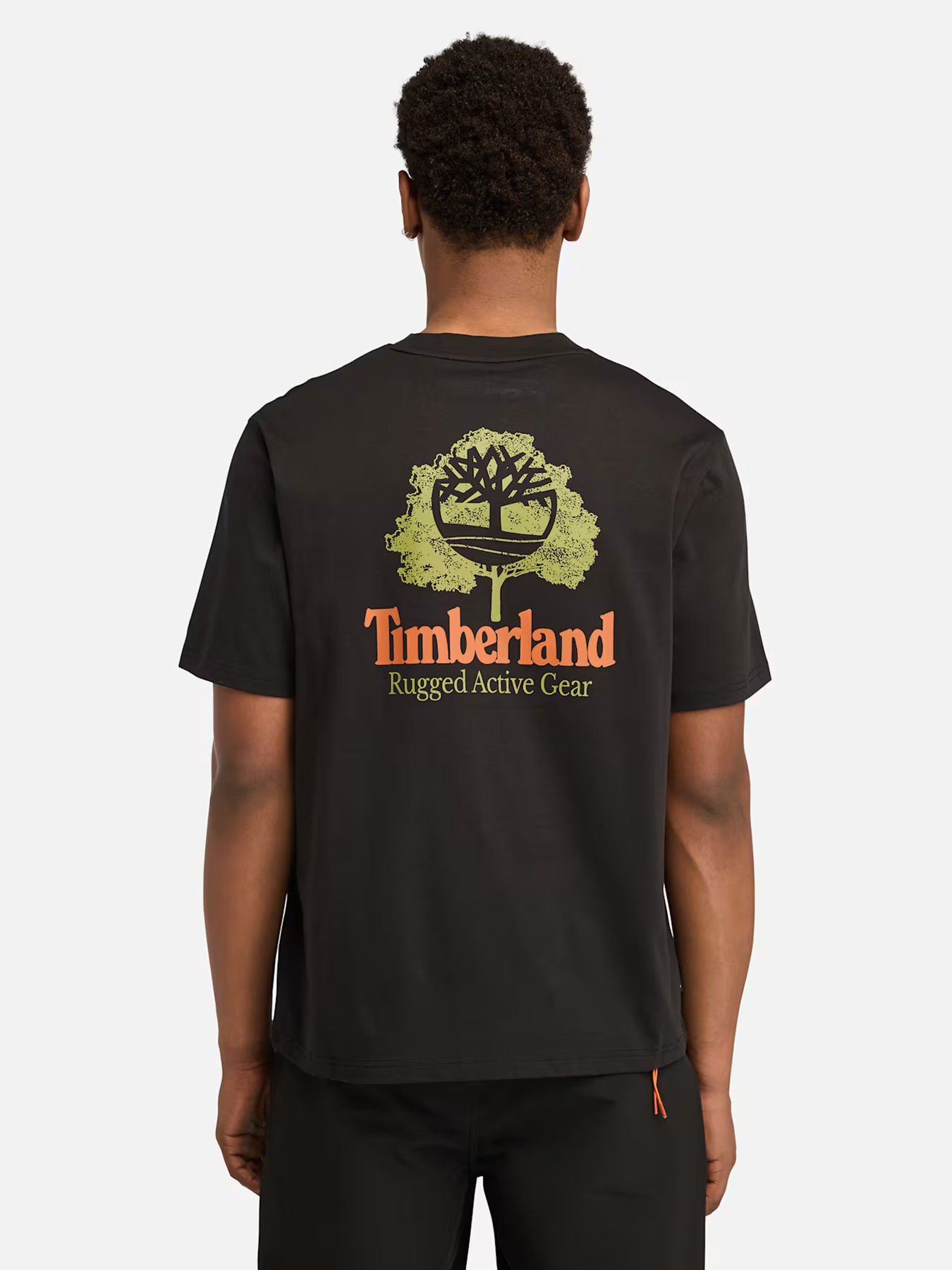 Футболки и поло Timberland модель TB0A63BD001 Фото
