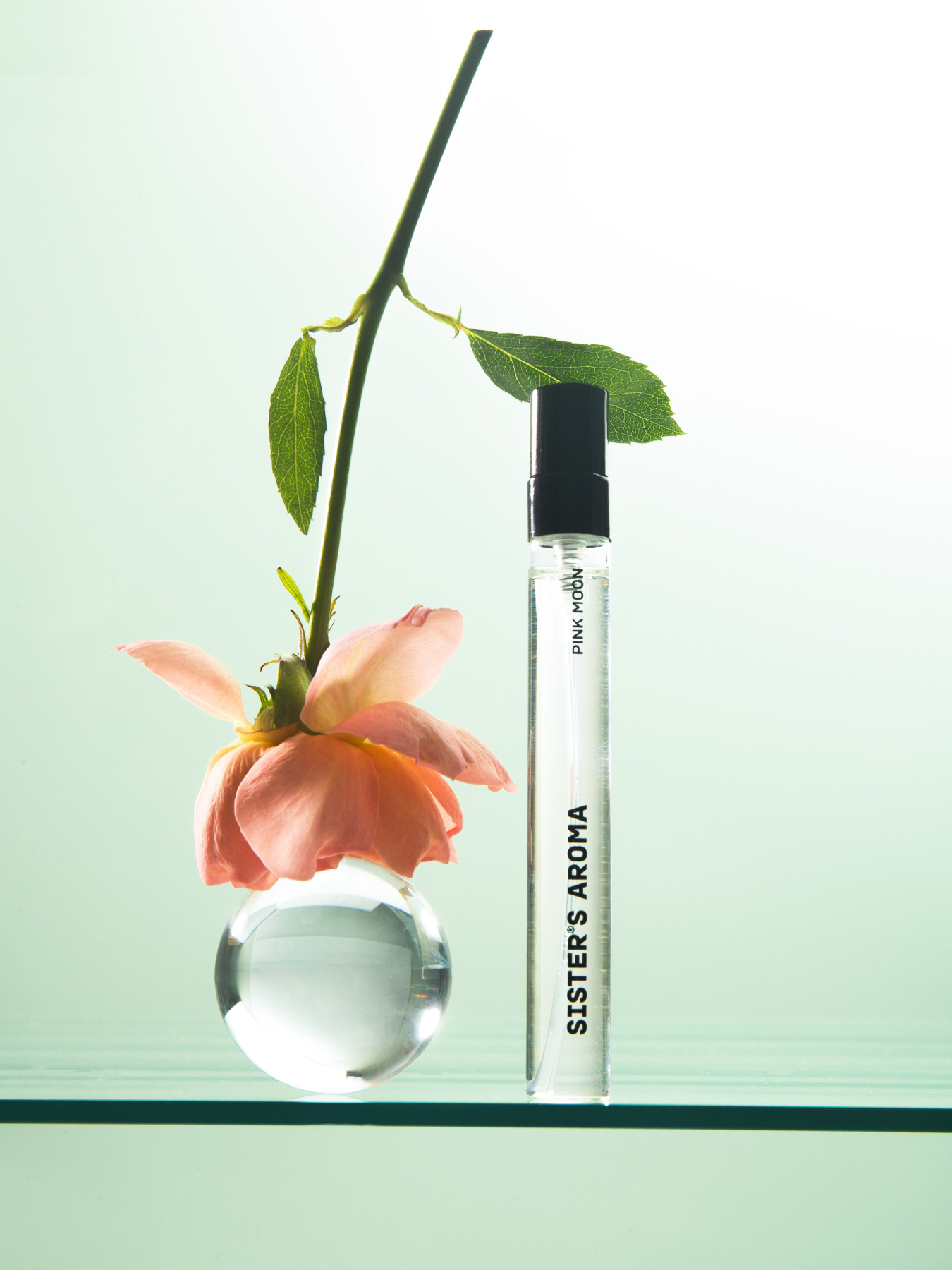 Парфюмированная вода Pink Moon Sister’s Aroma модель 4820227782710 Парфюмированная вода Pink Moon Sister’s Aroma модель 4820227782710 Фото