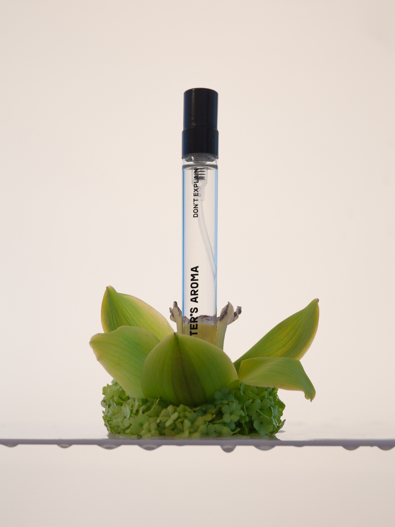 Парфюмированная вода Don’t explain Sister’s Aroma модель 4820227783069 Фото