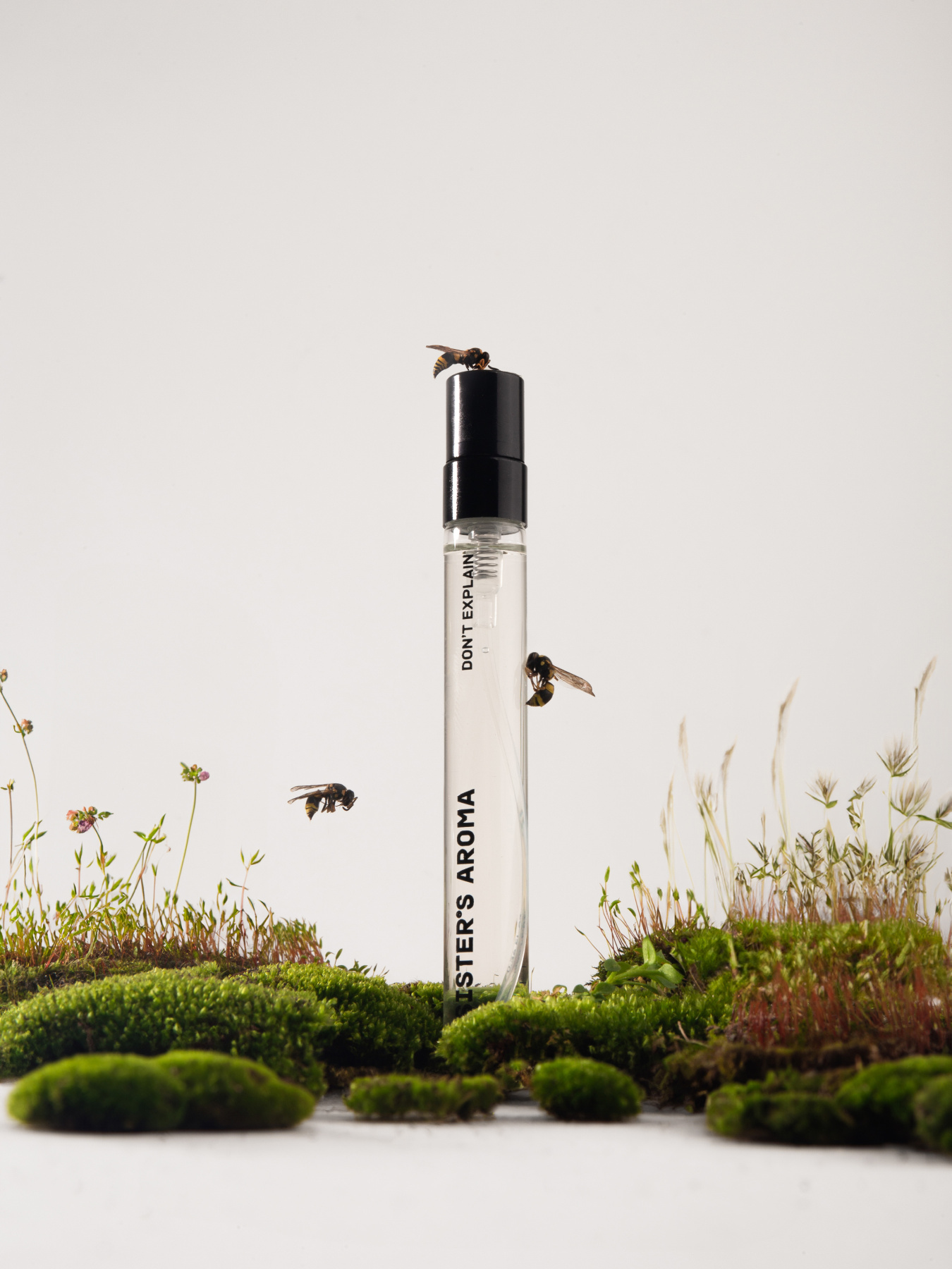 Парфюмированная вода Don’t explain Sister’s Aroma модель 4820227783069 Фото