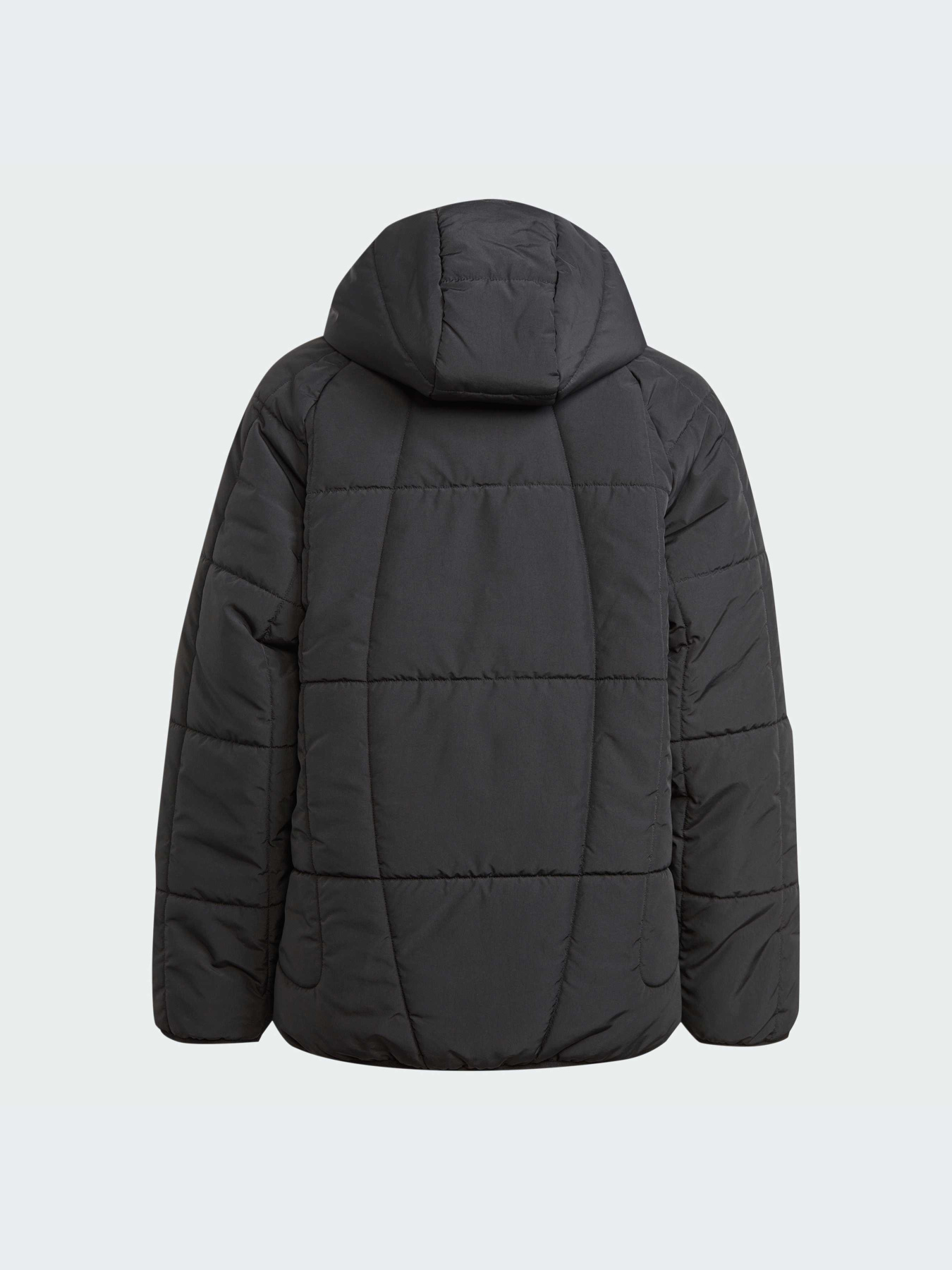 Демісезонна куртка Adidas Adventure модель IL5005 Фото