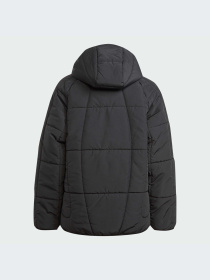 Демісезонна куртка Adidas Adventure модель IL5005 Фото