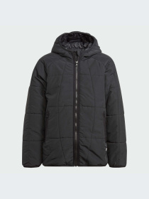 Демісезонна куртка Adidas Adventure модель IL5005 Фото