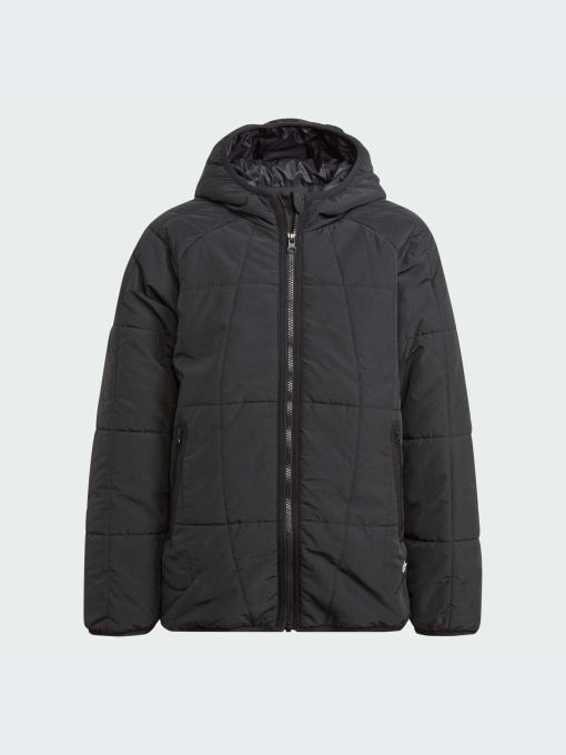 Демисезонная куртка Adidas Adventure модель IL5005 Фото