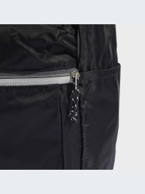 Рюкзак Adidas Adicolor модель IJ0767 Фото