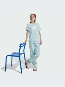 Футболка Adidas модель IV9433 Фото