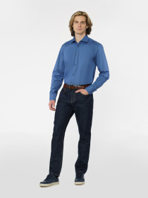 Сорочка повсякденна Arber модель M05.08.06.431 Фото