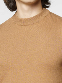 Джемпер Arber модель M10.52.16.431 Фото