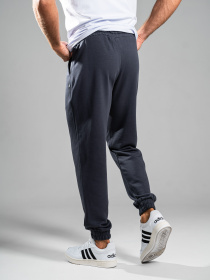 Спортивні штани TeamV модель 101R-23 Фото