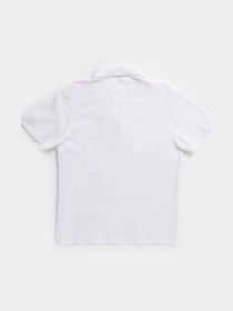 Поло CARICA модель 1253 Фото