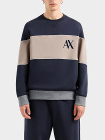 Худи и свитшоты Armani Exchange модель 6DZMJM-ZJZGZ-1510 Фото