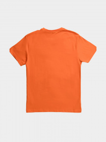 Футболка CARICA модель 14017 Фото