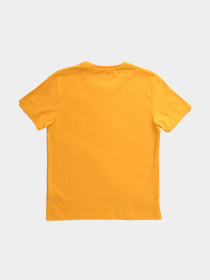 Футболка CARICA модель 14013 Фото