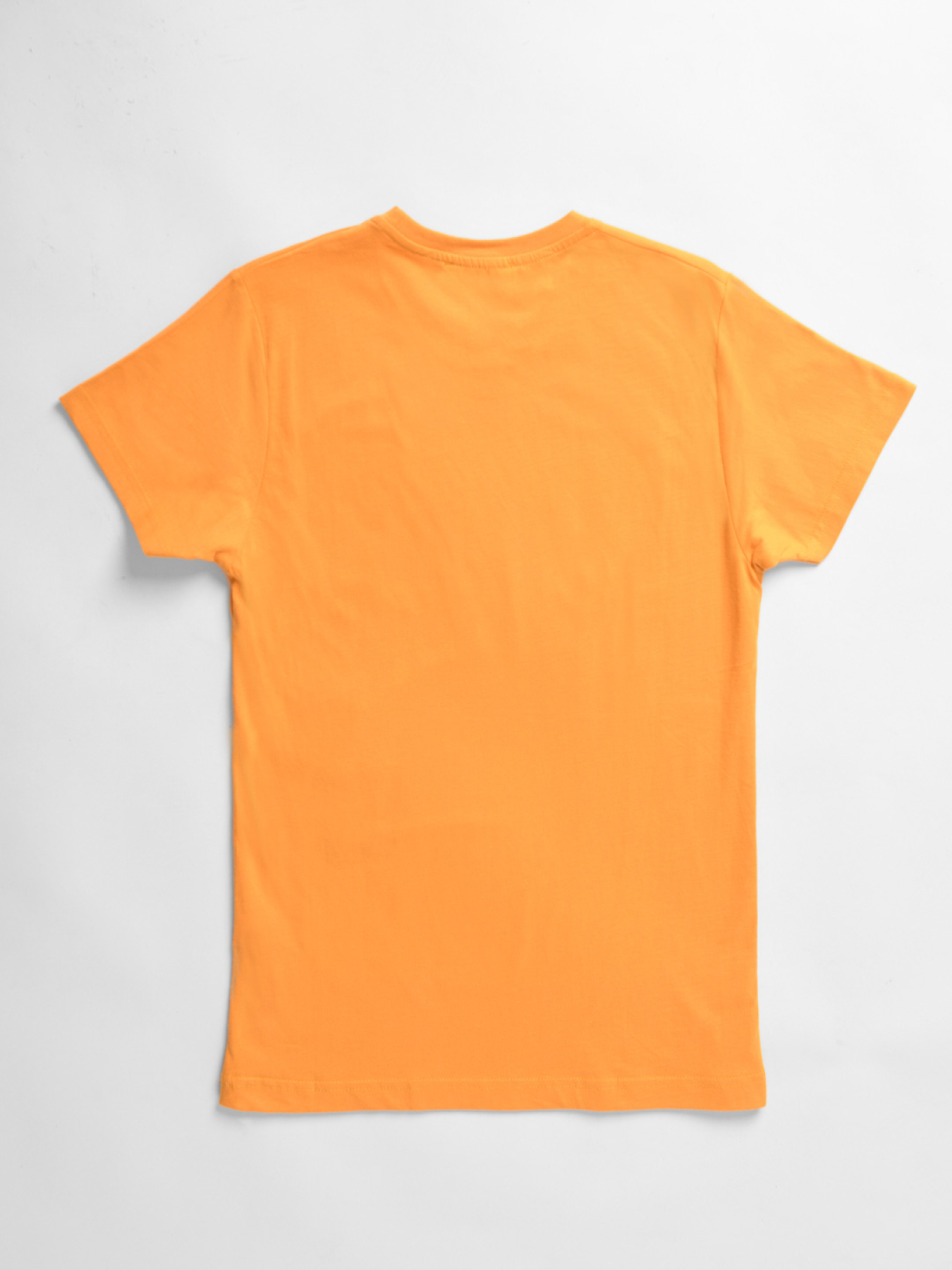 Футболки и поло CARICA модель 14317 Фото