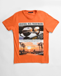 Футболки и поло CARICA модель 14617 Фото