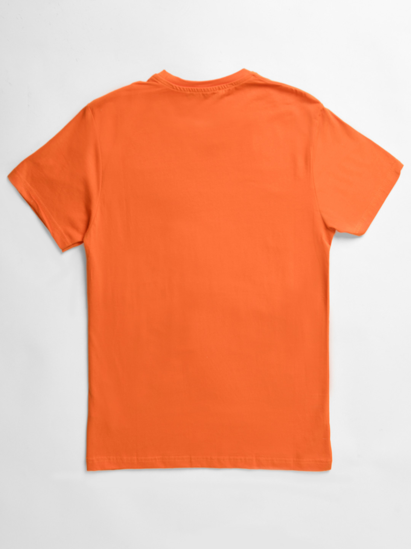 Футболки и поло CARICA модель 14617 Фото